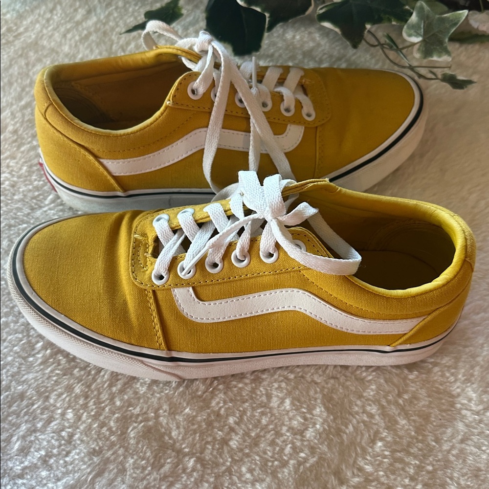 Vans shoes
